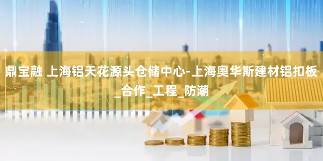 鼎宝融 上海铝天花源头仓储中心-上海奥华斯建材铝扣板_合作_工程_防潮