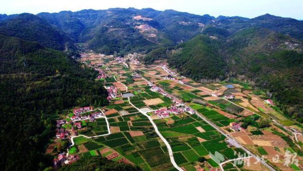 股合网 远安：返乡大学生开启“硬核”暑假