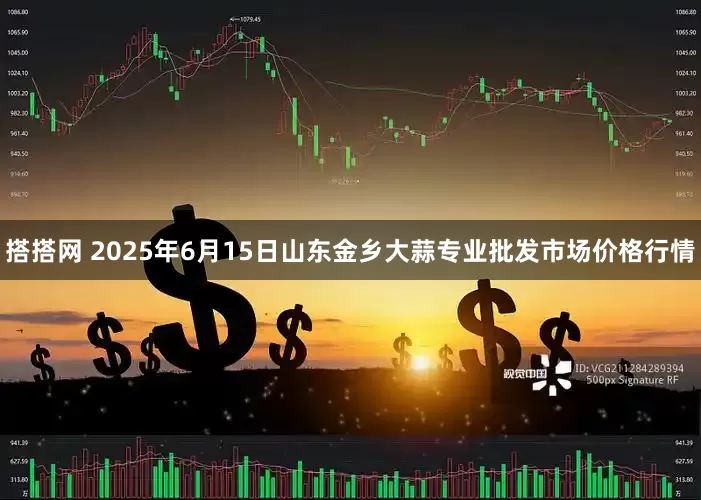 搭搭网 2025年6月15日山东金乡大蒜专业批发市场价格行情