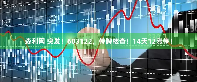 森利网 突发！603122，停牌核查！14天12涨停！